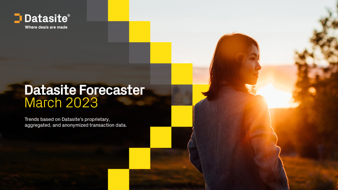 Datasite 预报员 3 月全球展望