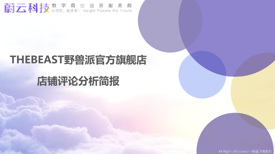 THEBEAST野兽派官方旗舰店店铺评论分析简报