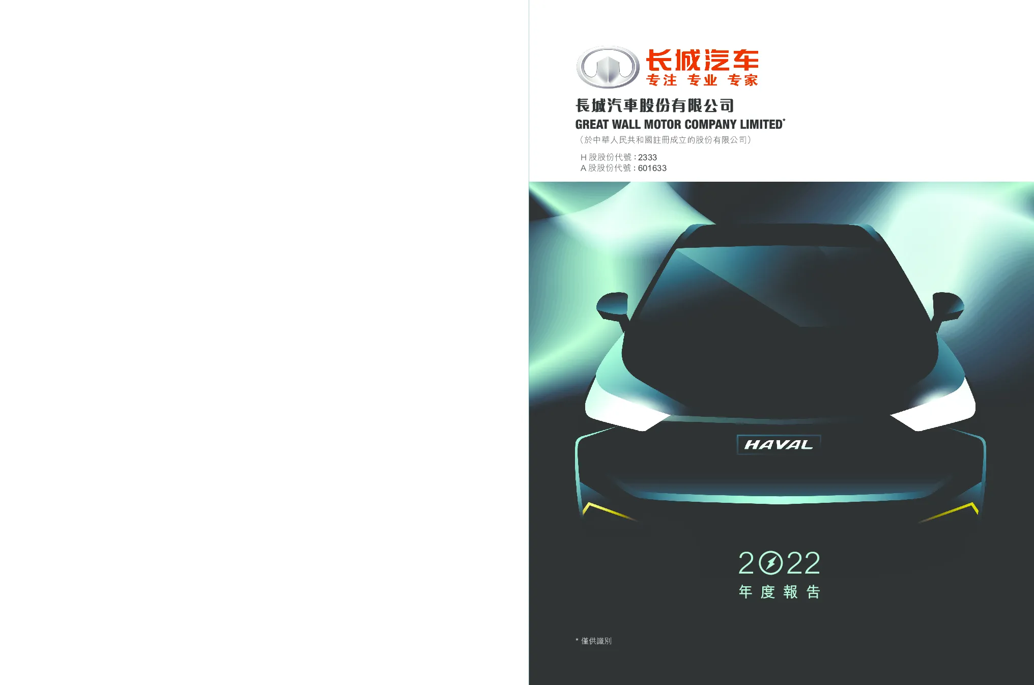 长城汽车2022年报