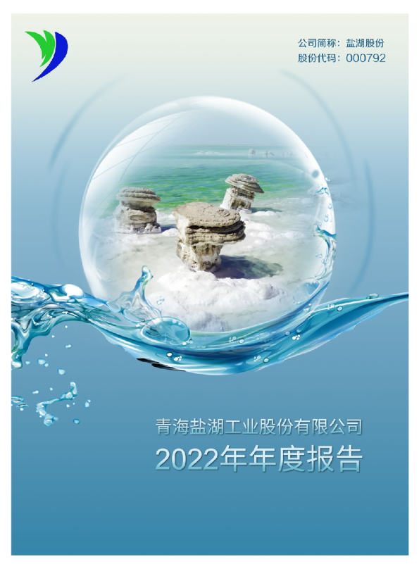 盐湖股份：2022年年度报告