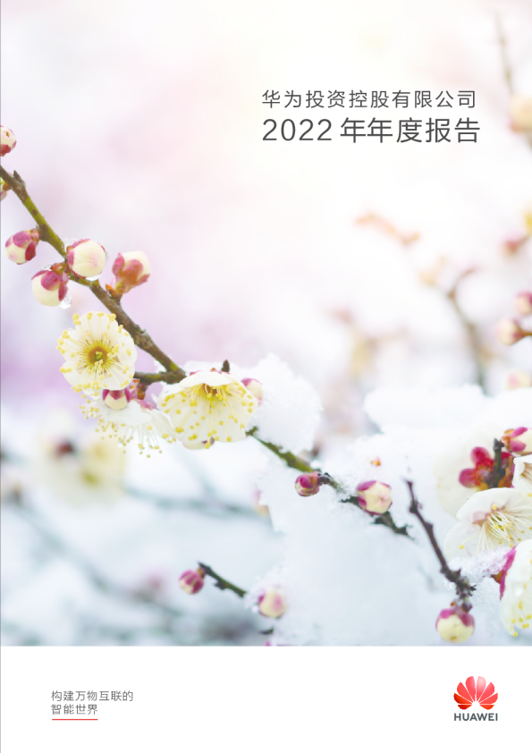 华为投资控股有限公司2022年年度报告