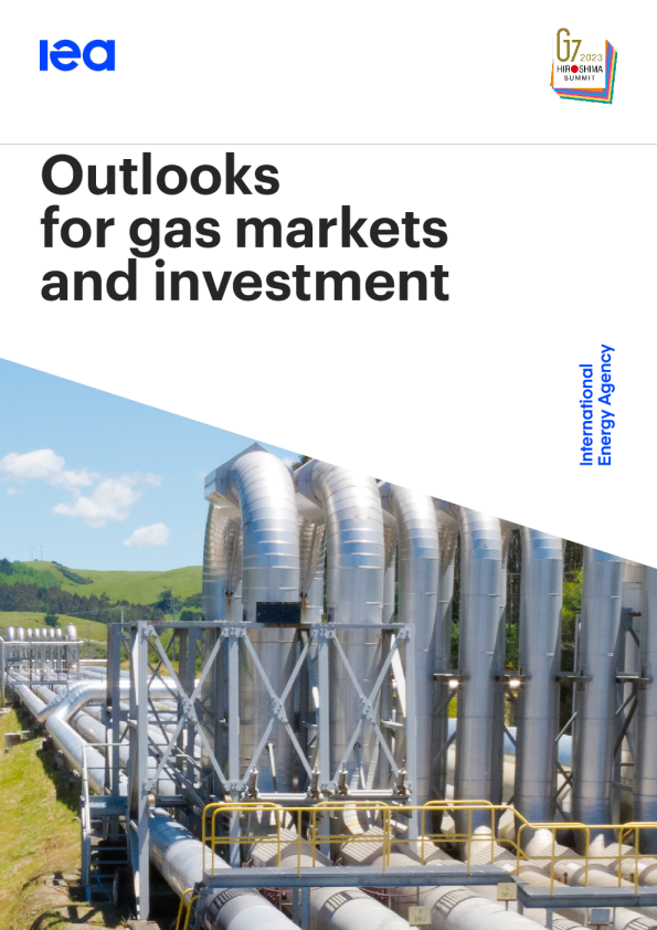 天然气市场和投资展望