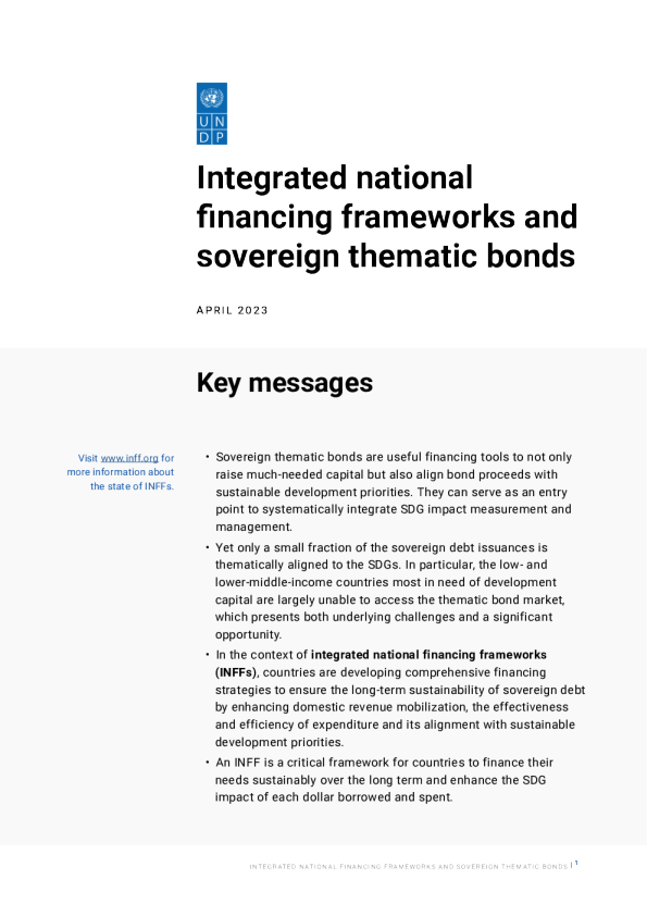 综合国家融资框架和主权专题债券