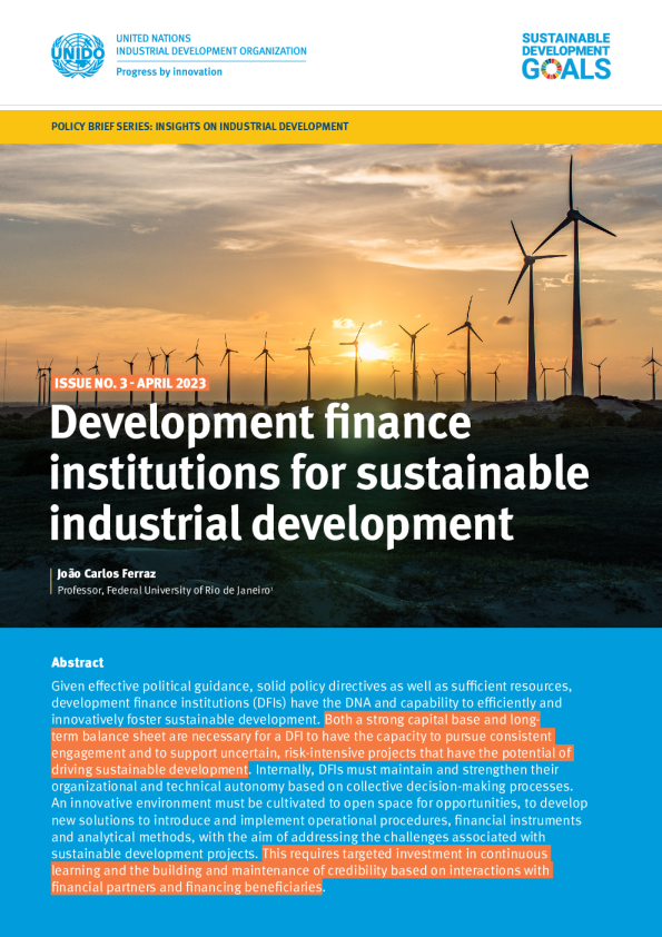 IID政策简报3：发展金融机构