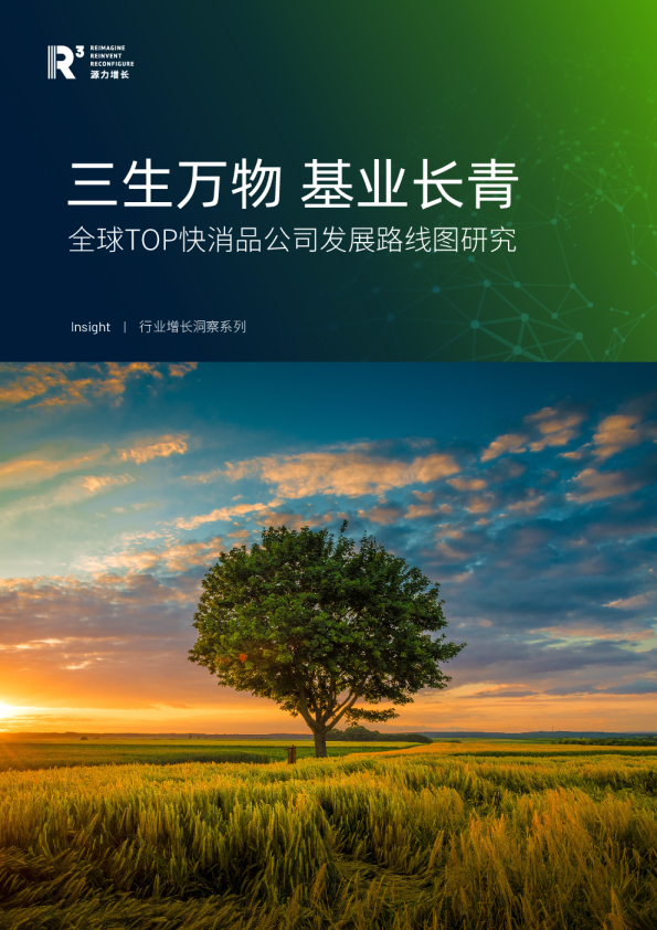 全球TOP快消品公司发展路线图研究