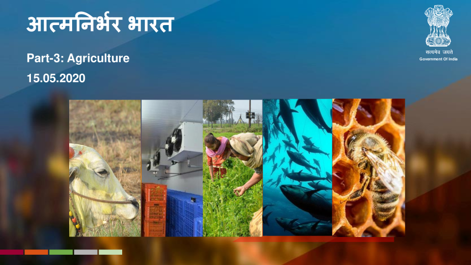 养蜂倡议 (支持该国养蜂活动的计划)