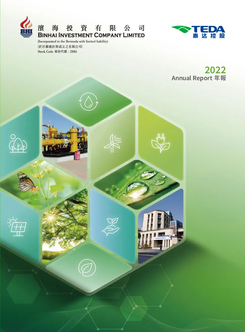 滨海投资年报2022