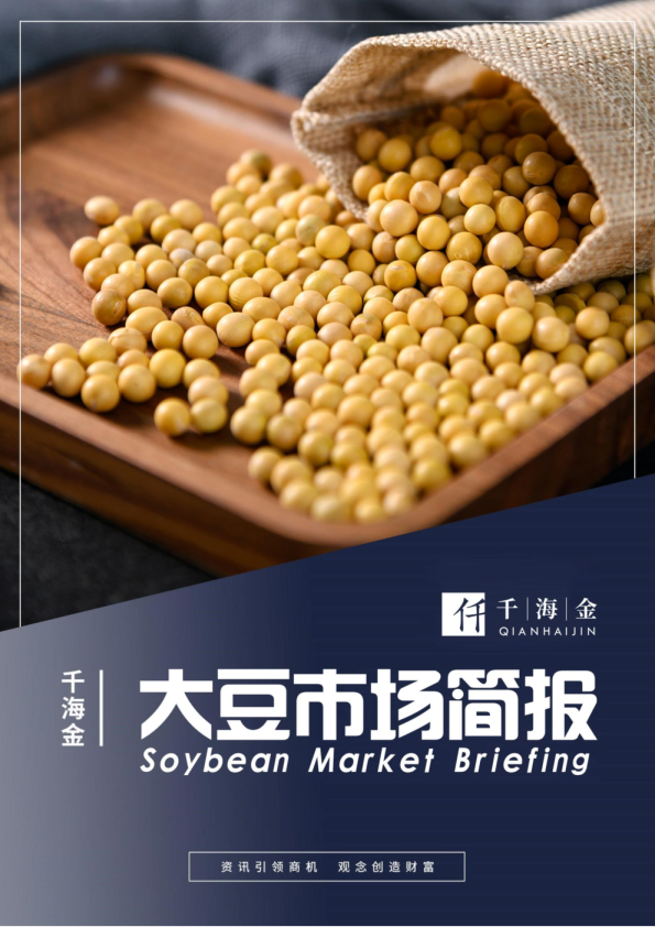 大豆市场简报