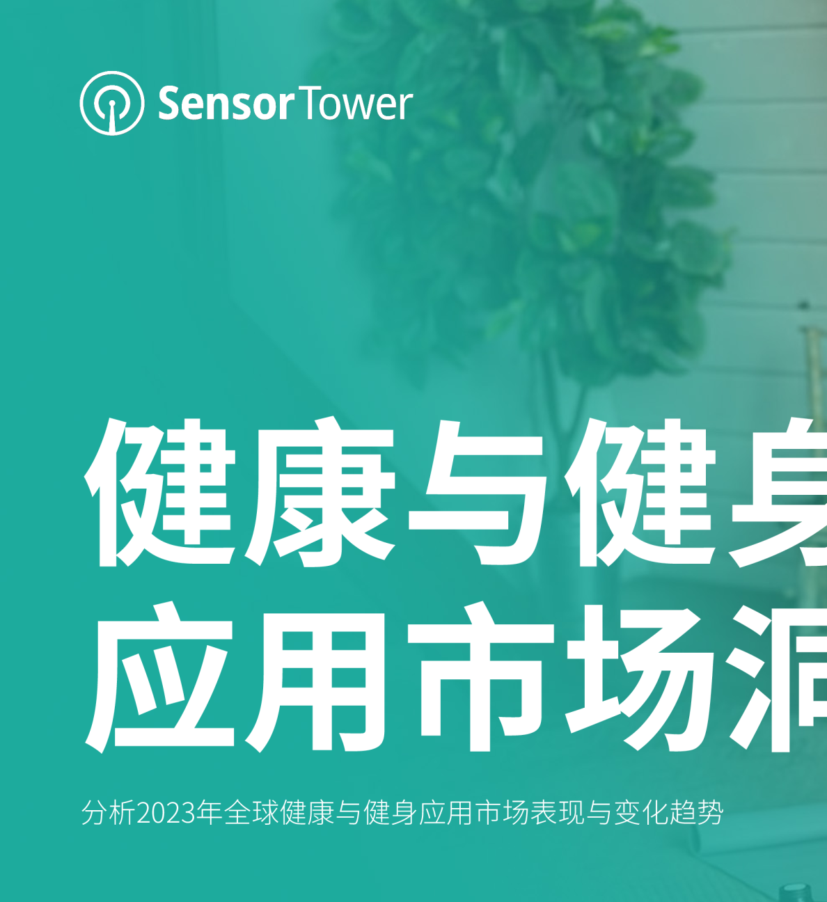 分析2023年全球健康与健身应用市场表现与变化趋势：健康与健身，应用市场洞察