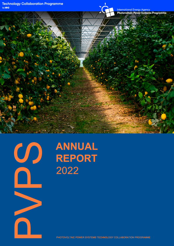 2022年度报告