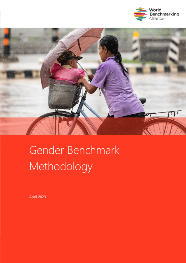 2023年性别基准的方法