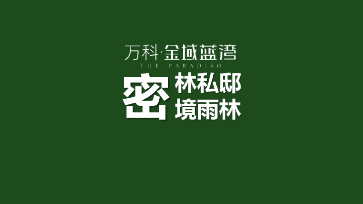 山体投影活动简案