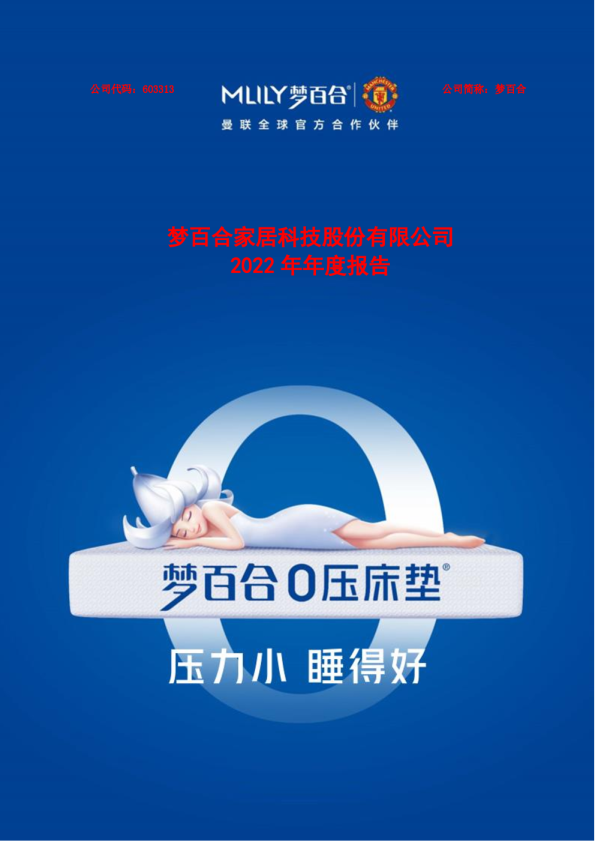 梦百合：2022年年度报告