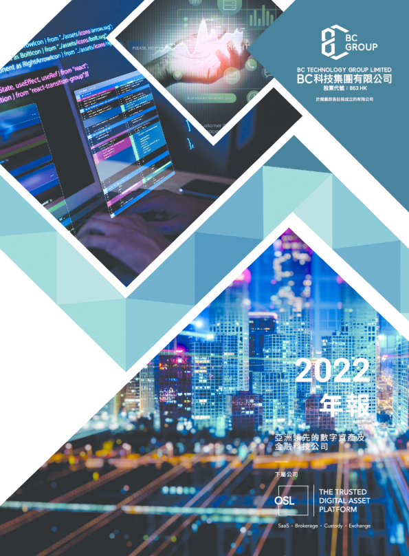 BC科技集团2022年年报