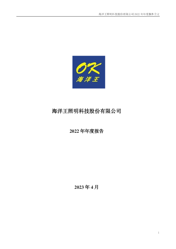 海洋王：2022年年度报告