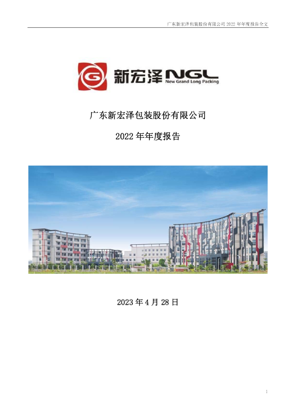 新宏泽：2022年年度报告