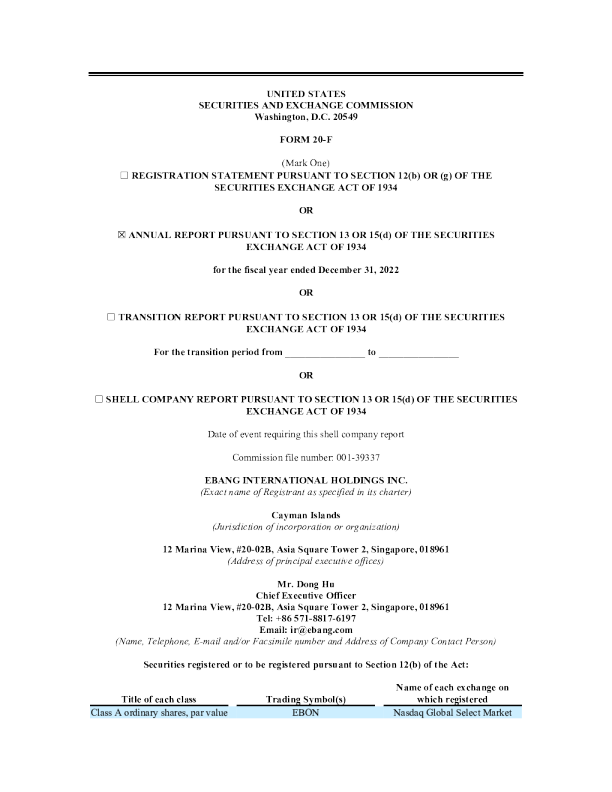 亿邦国际2022年度报告