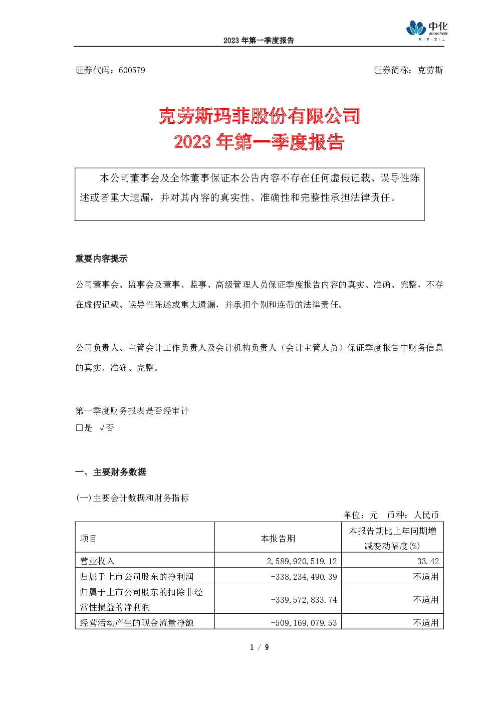 报告封面