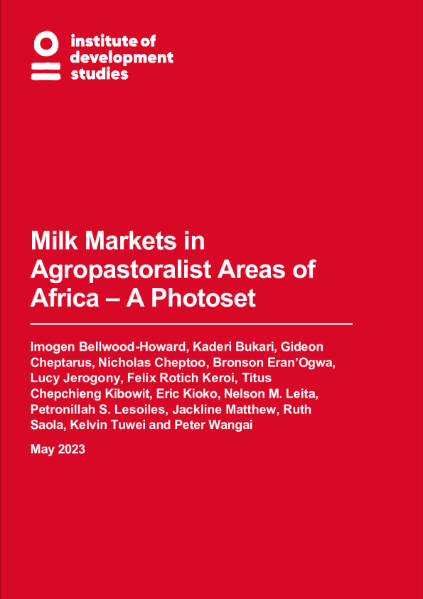 非洲农牧民地区的牛奶市场——照片