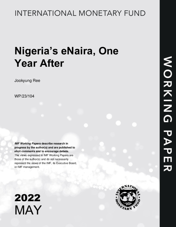 尼日利亚的eNaira，一年后