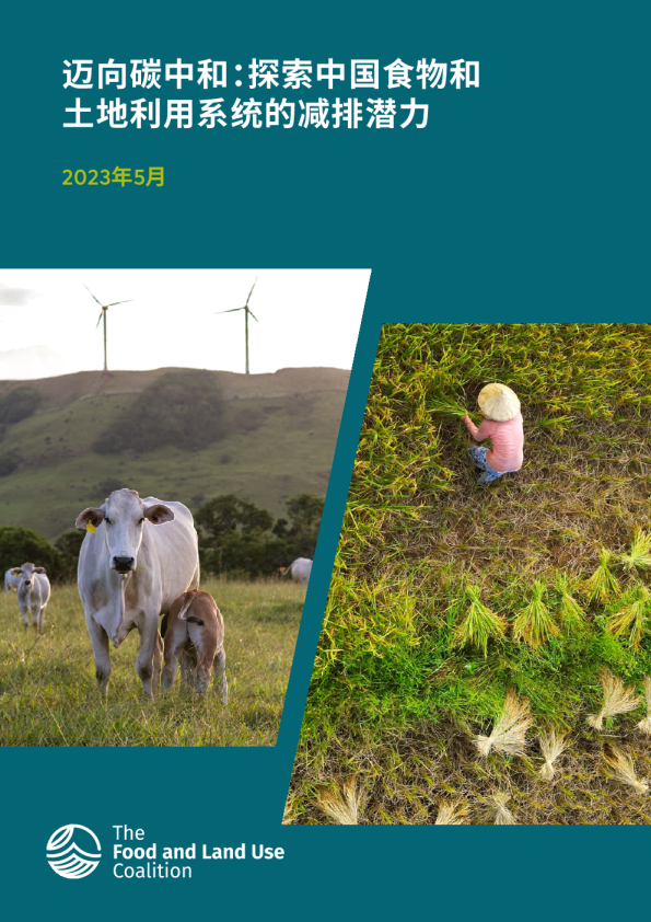 迈向碳中和：探索中国食物和土地利用系统的减排潜力