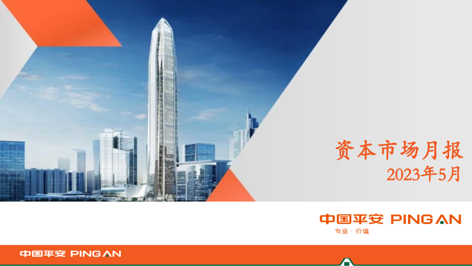 资本市场月报2023年5月