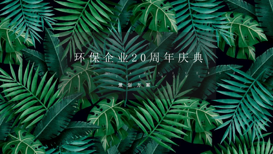 企业20周年策划方案