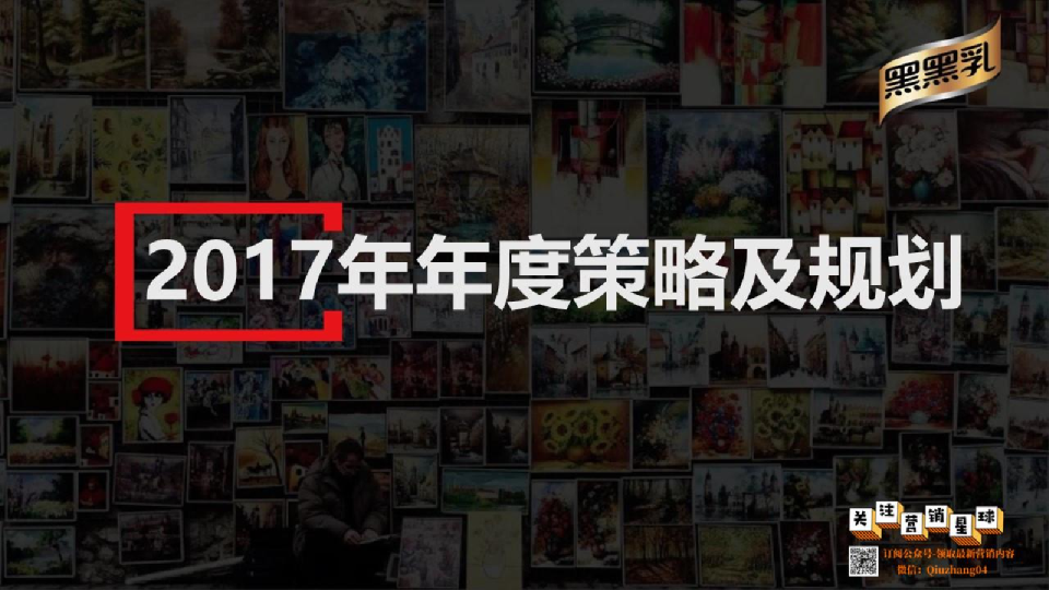 黑黑乳 品牌营销策略及规划