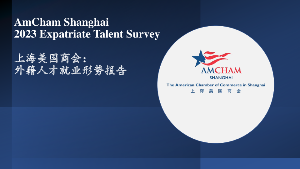 外籍人才就业形势报告