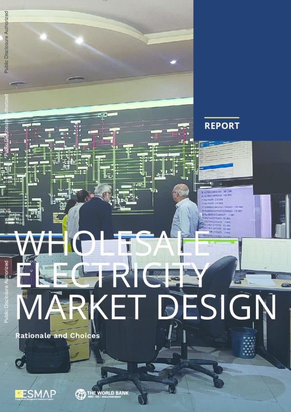 批发电力市场设计：理论基础与选择