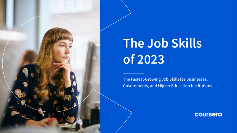 2023年的工作技能报告