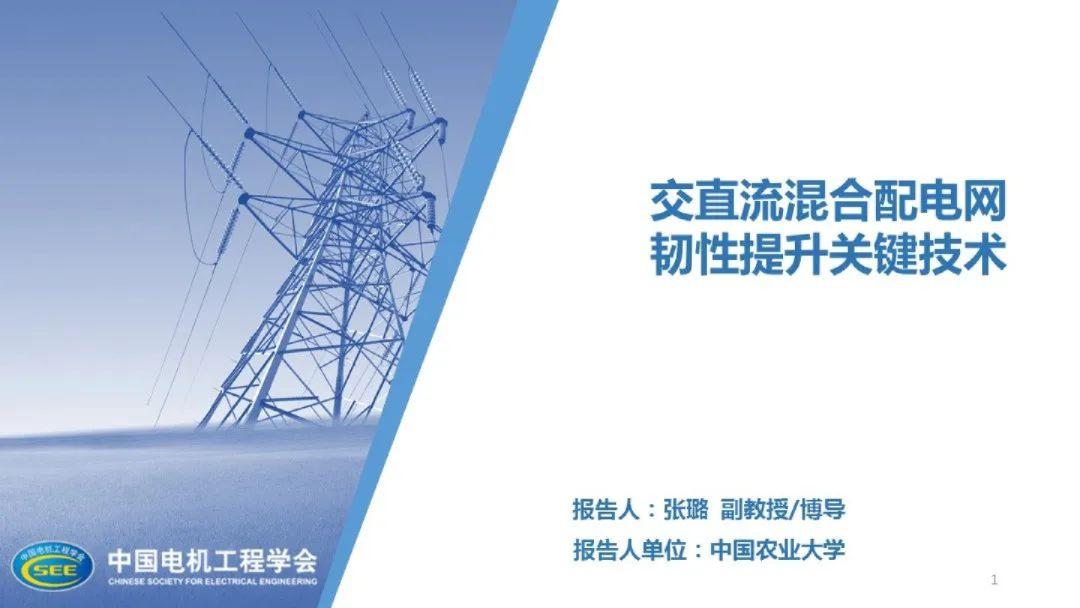交直流混合配电网韧性提升关键技术（2023）
