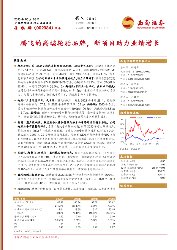 腾飞的高端轮胎品牌，新项目助力业绩增长