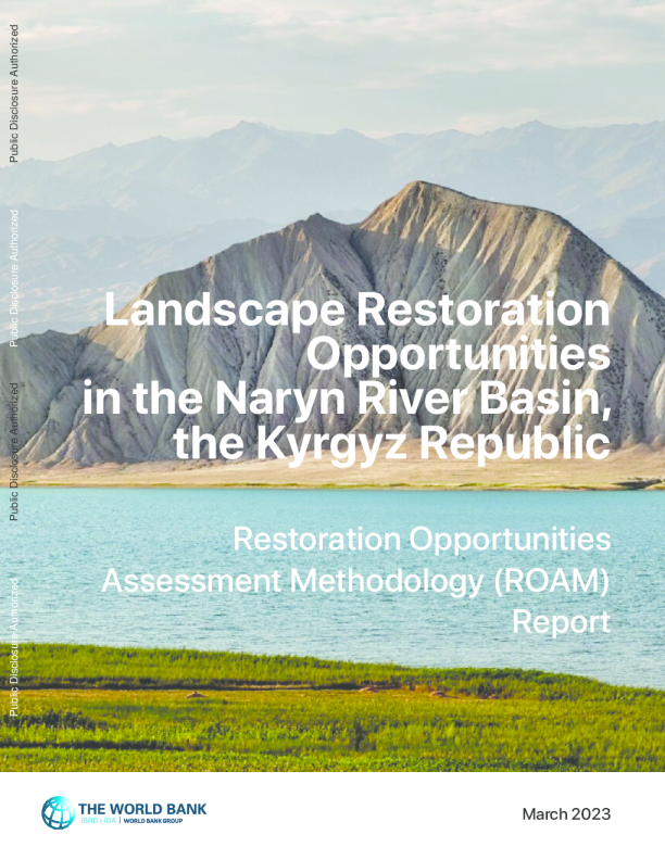 吉尔吉斯共和国纳林河流域的景观恢复机会