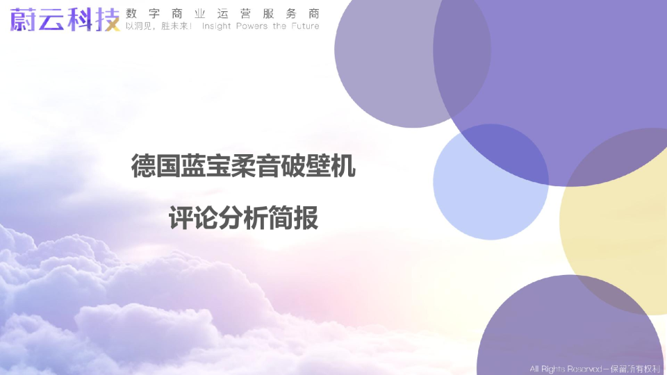 德国蓝宝柔音破壁机评论分析简报