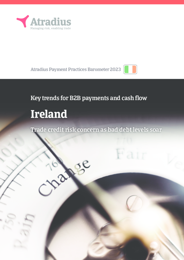 B2B 支付实践趋势 ， 爱尔兰 2023 年