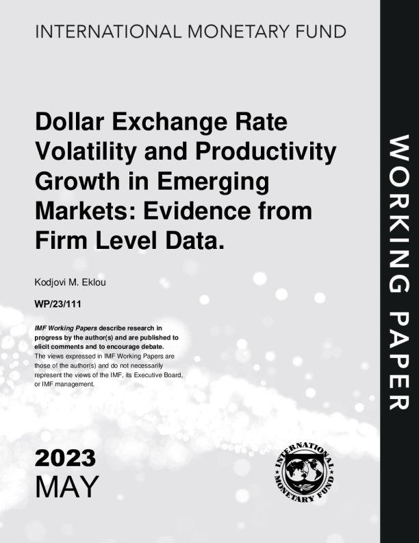 新兴市场的美元汇率波动与生产率增长：来自企业层面数据的证据