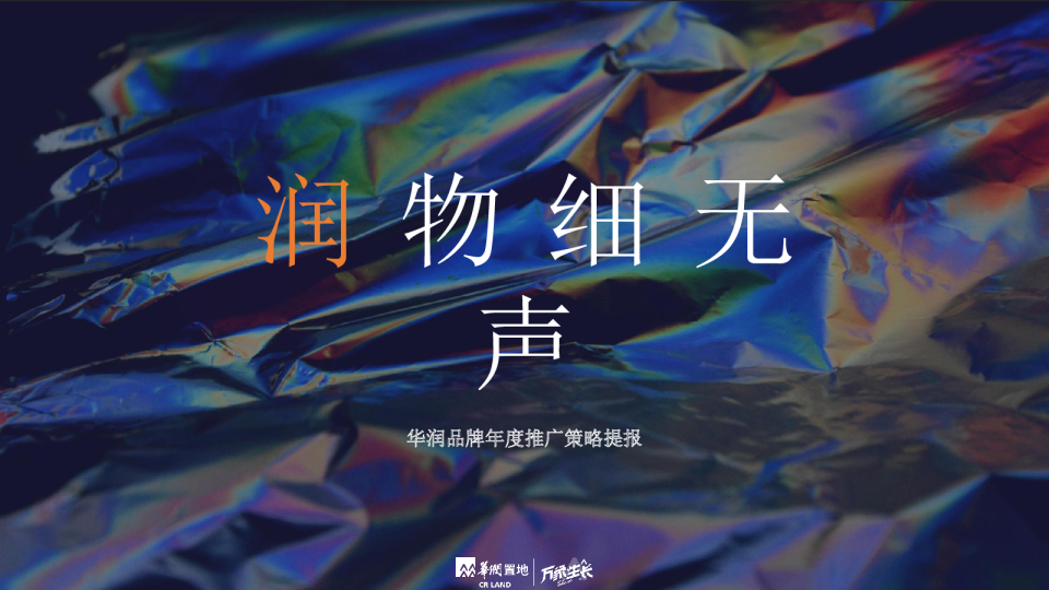 华润品牌年度推广策略提报
