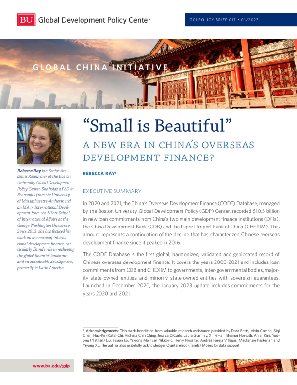 中国海外投资进入“小而美”时代