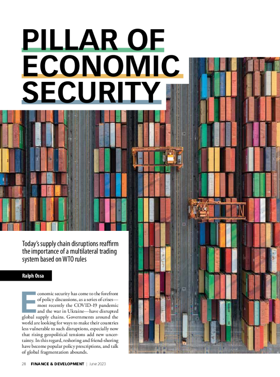 经济安全的支柱