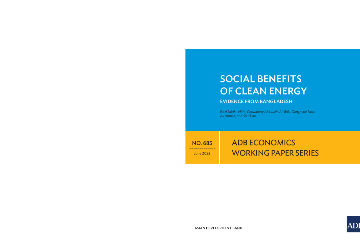 清洁能源的社会效益：来自孟加拉国的证据