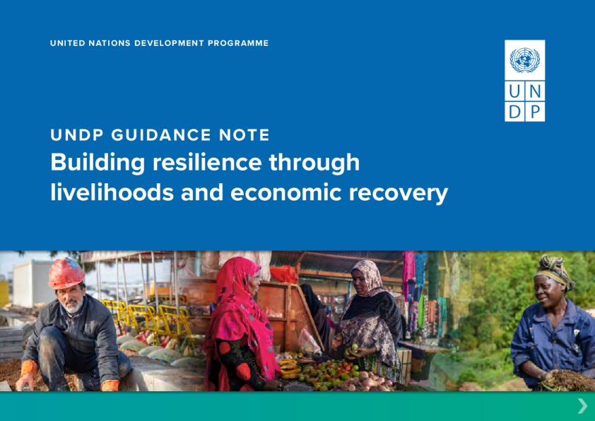 通过生计和经济复苏建立韧性