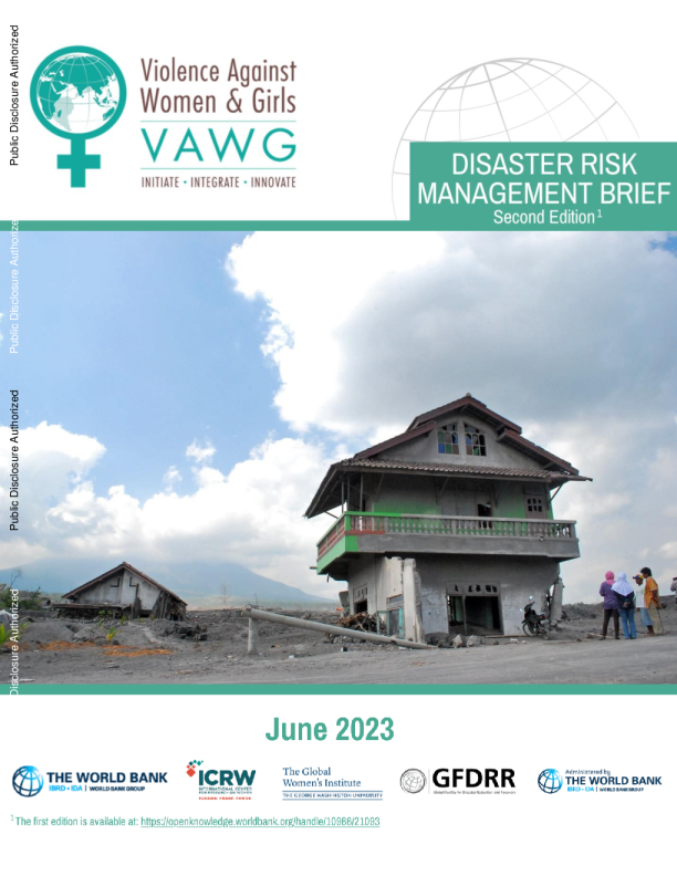 暴力侵害妇女和女孩行为：灾害风险管理简报第二版