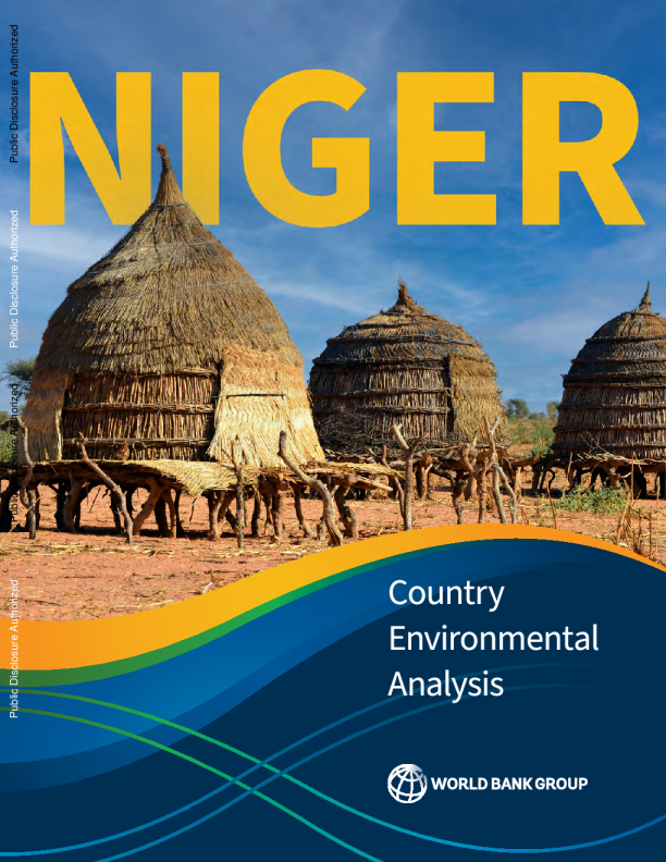 尼日尔国家环境分析