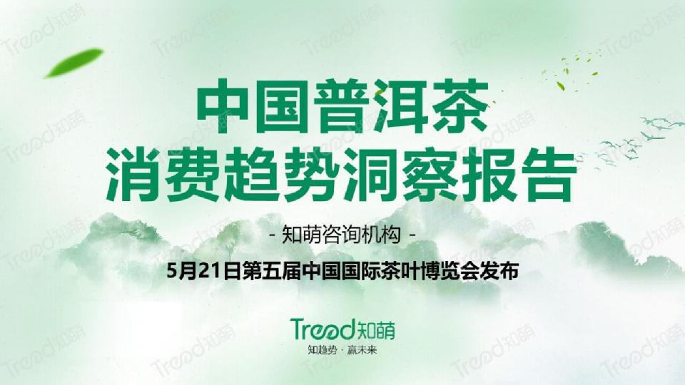 2023中国普洱茶消费趋势洞察报告