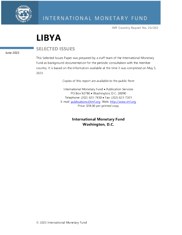 利比亚：若干问题