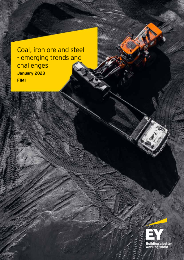 煤矿，铁矿及钢材市场趋势和挑战