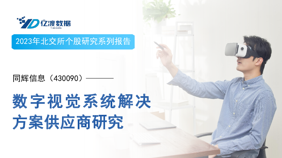 数字视觉系统解决方案供应商研究