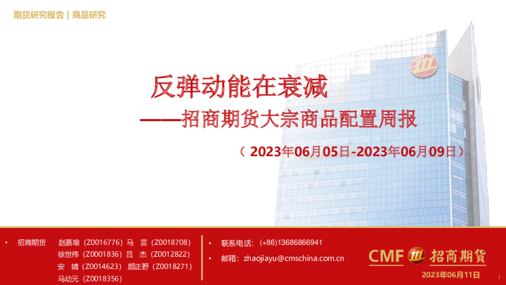 大宗商品配置周报：反弹动能在衰减