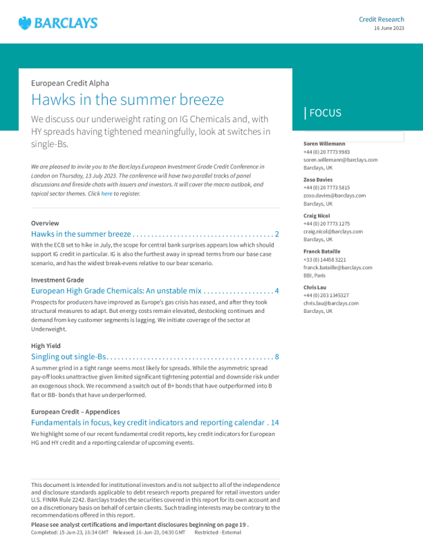 夏天的微风中的老鹰